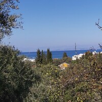 Остров в Греции, Ионические острова, Корфу, 6500 кв.м.