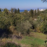 Остров в Греции, Ионические острова, Корфу, 6500 кв.м.
