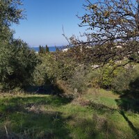 Остров в Греции, Ионические острова, Корфу, 6500 кв.м.