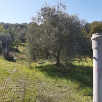 Остров в Греции, Ионические острова, Корфу, 6500 кв.м.