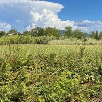 Остров в Греции, Ионические острова, Корфу, 4236 кв.м.