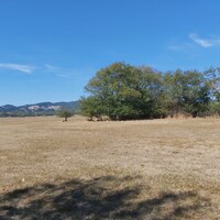 Остров в Греции, Ионические острова, Корфу, 60000 кв.м.