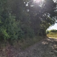 Остров в Греции, Ионические острова, Корфу, 4000 кв.м.