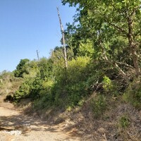 Остров в Греции, Ионические острова, Корфу, 2300 кв.м.