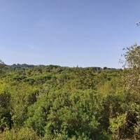 Остров в Греции, Ионические острова, Корфу, 2300 кв.м.