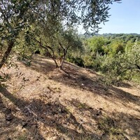 Остров в Греции, Ионические острова, Корфу, 2300 кв.м.