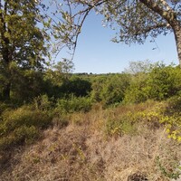 Остров в Греции, Ионические острова, Корфу, 2300 кв.м.