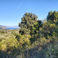 Island in Greece, Ionian Islands, Corfu, 8250 sq.m.