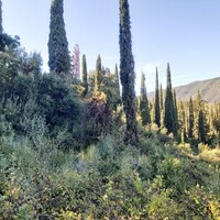 Island in Greece, Ionian Islands, Corfu, 8250 sq.m.