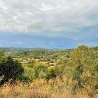 Остров в Греции, Ионические острова, Корфу, 10000 кв.м.