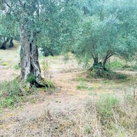 Остров в Греции, Ионические острова, Корфу, 10000 кв.м.