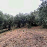 Остров в Греции, Ионические острова, Корфу, 10000 кв.м.