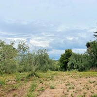 Остров в Греции, Ионические острова, Корфу, 4470 кв.м.