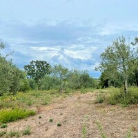 Остров в Греции, Ионические острова, Корфу, 4470 кв.м.