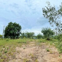 Остров в Греции, Ионические острова, Корфу, 4470 кв.м.