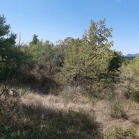 Island in Greece, Ionian Islands, Corfu, 58000 sq.m.