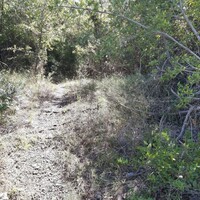Island in Greece, Ionian Islands, Corfu, 48000 sq.m.