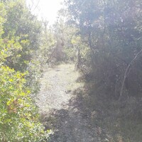 Island in Greece, Ionian Islands, Corfu, 48000 sq.m.