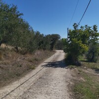 Island in Greece, Ionian Islands, Corfu, 48000 sq.m.