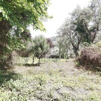 Island in Greece, Ionian Islands, Corfu, 700 sq.m.