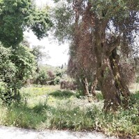 Island in Greece, Ionian Islands, Corfu, 700 sq.m.