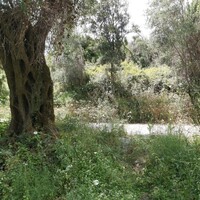 Island in Greece, Ionian Islands, Corfu, 700 sq.m.