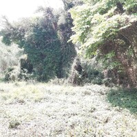 Island in Greece, Ionian Islands, Corfu, 700 sq.m.