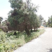 Island in Greece, Ionian Islands, Corfu, 700 sq.m.