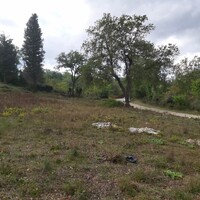 Island in Greece, Ionian Islands, Corfu, 6000 sq.m.
