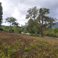 Island in Greece, Ionian Islands, Corfu, 6000 sq.m.