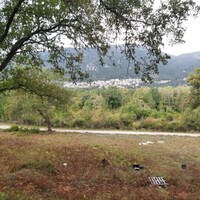 Island in Greece, Ionian Islands, Corfu, 6000 sq.m.