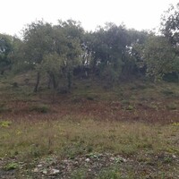 Island in Greece, Ionian Islands, Corfu, 6000 sq.m.