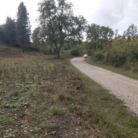 Island in Greece, Ionian Islands, Corfu, 6000 sq.m.