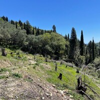 Island in Greece, Ionian Islands, Corfu, 8500 sq.m.