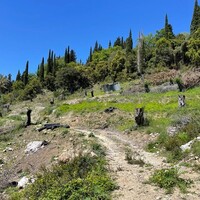 Island in Greece, Ionian Islands, Corfu, 8500 sq.m.