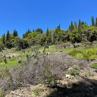 Island in Greece, Ionian Islands, Corfu, 8500 sq.m.