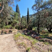 Island in Greece, Ionian Islands, Corfu, 8500 sq.m.