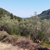 Island in Greece, Ionian Islands, Corfu, 8500 sq.m.
