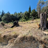Island in Greece, Ionian Islands, Corfu, 8500 sq.m.