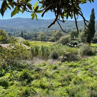 Island in Greece, Ionian Islands, Corfu, 5500 sq.m.