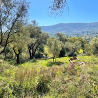 Island in Greece, Ionian Islands, Corfu, 5500 sq.m.