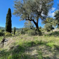Island in Greece, Ionian Islands, Corfu, 5500 sq.m.