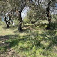 Island in Greece, Ionian Islands, Corfu, 5500 sq.m.