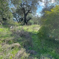 Island in Greece, Ionian Islands, Corfu, 5500 sq.m.