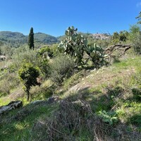 Island in Greece, Ionian Islands, Corfu, 5500 sq.m.