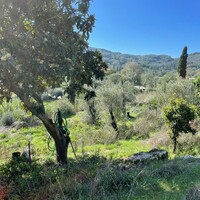 Island in Greece, Ionian Islands, Corfu, 5500 sq.m.