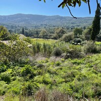 Island in Greece, Ionian Islands, Corfu, 5500 sq.m.