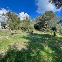 Island in Greece, Ionian Islands, Corfu, 5500 sq.m.