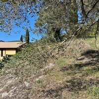Island in Greece, Ionian Islands, Corfu, 5500 sq.m.