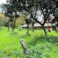 Остров в Греции, Ионические острова, Корфу, 496 кв.м.